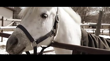 black teen demolishes young white girl next to a horse